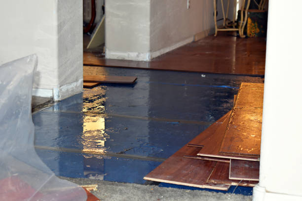 Professional Water Damage Repair technician working in Hamilton, IN